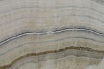 Grey Wood Onyx