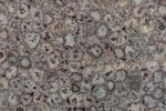 Morganite Agate