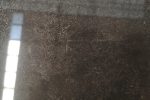 Abalone(Blue Limestone）
