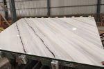 New Panda White