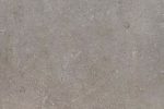 Pacific Grey