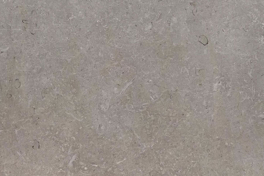 Pacific Grey