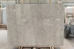 Pacific Grey