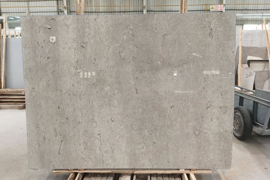 Pacific Grey